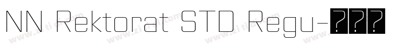 NN Rektorat STD Regu字体转换